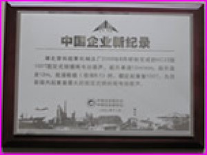 HC25型電動(dòng)葫蘆獲創(chuàng)中國(guó)企業(yè)新紀(jì)錄。